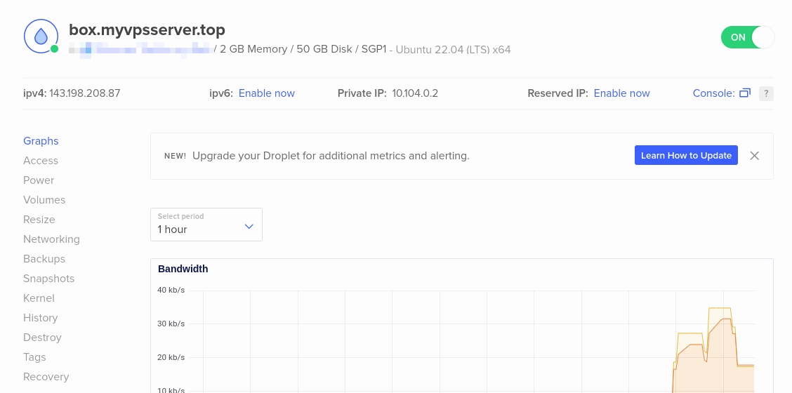 Скриншот страницы droplet в DigitalOcean.