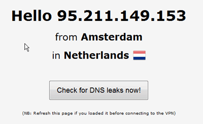 результат теста на утечку DNS