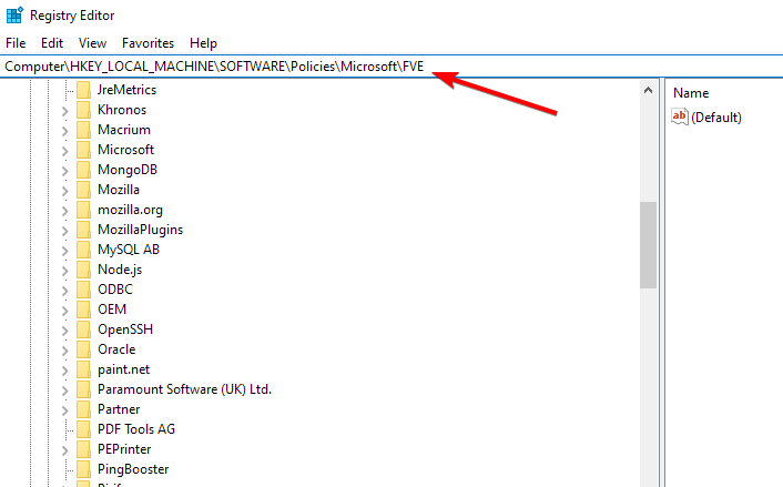 Структура реестра с веткой FVE