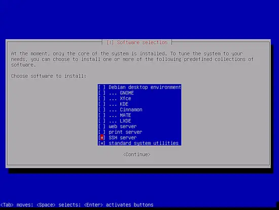 Выбор стандартных утилит и SSH-сервера в инсталляторе