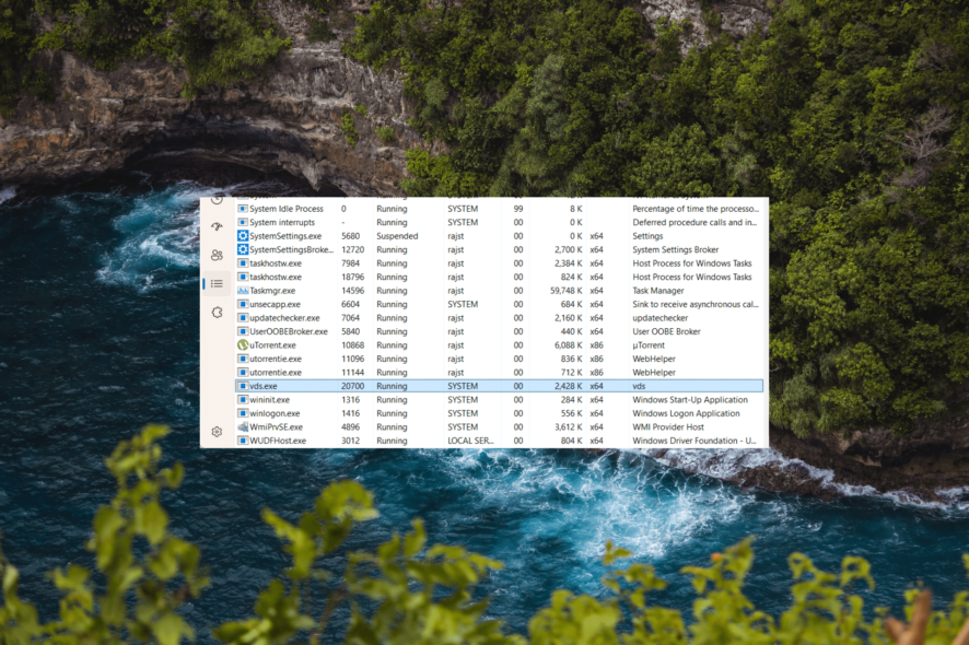 Что такое vds.exe — безопасно ли это?