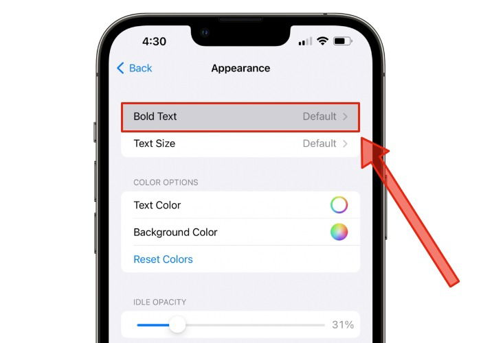 Кнопка включения жирного текста