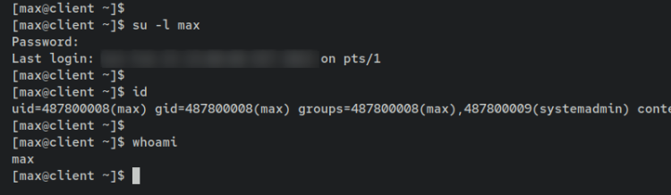 Проверка выполнения разрешённых и запрещённых sudo-команд для max