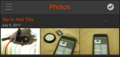 Пример трёх переданных фотографий в приложении Keenai