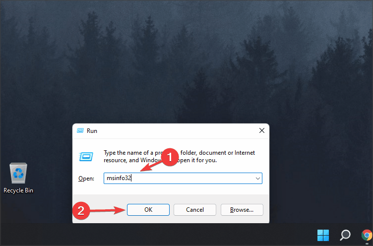 windows 11 msinfo run