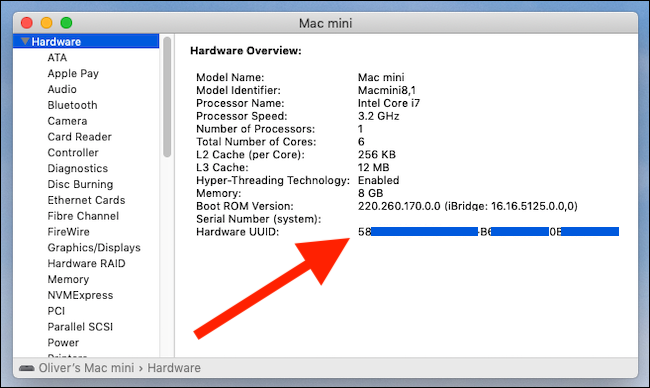 Окно Системный отчет с выделенным Hardware UUID