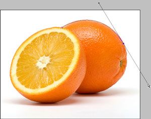 Создание и растягивание направляющей ручки для кривой на апельсине