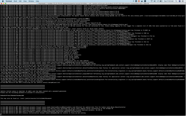 Просмотр логов Apache Tomcat (catalina.out)