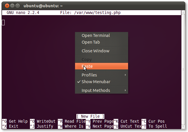 phpinfo вывод в браузере