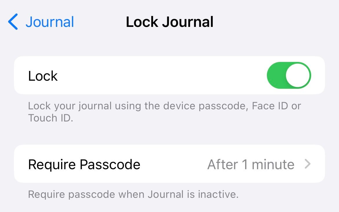 Экран демонстрации активного переключателя блокировки Дневника.