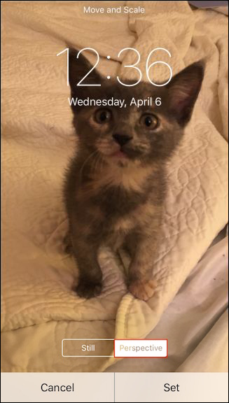 Выбор режима обоев Perspective в iOS