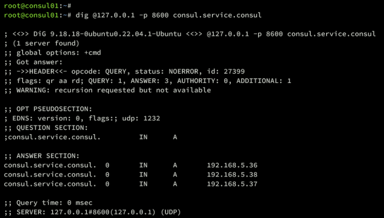 Проверка DNS Consul через dig