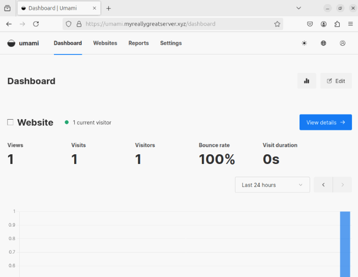 Скриншот, показывающий пример аналитики в Umami.