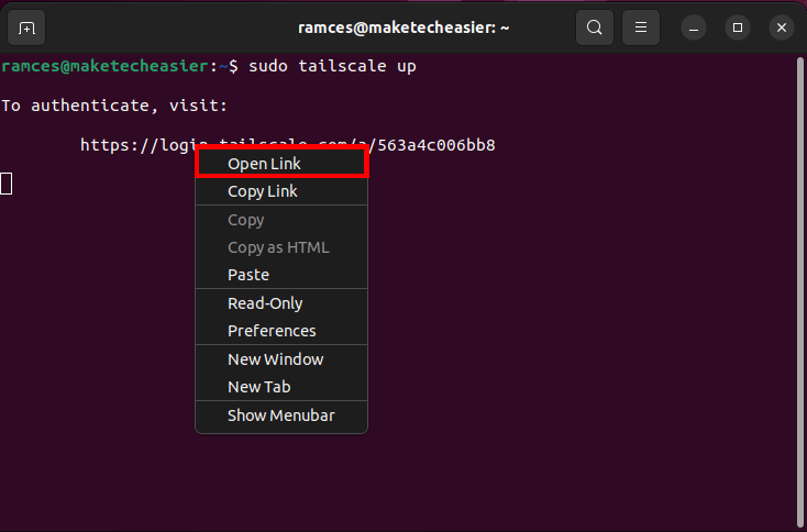 Подсказка открытия ссылки в терминале.