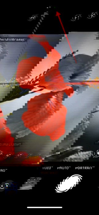 Зелёный индикатор доступа к камере в Dynamic Island