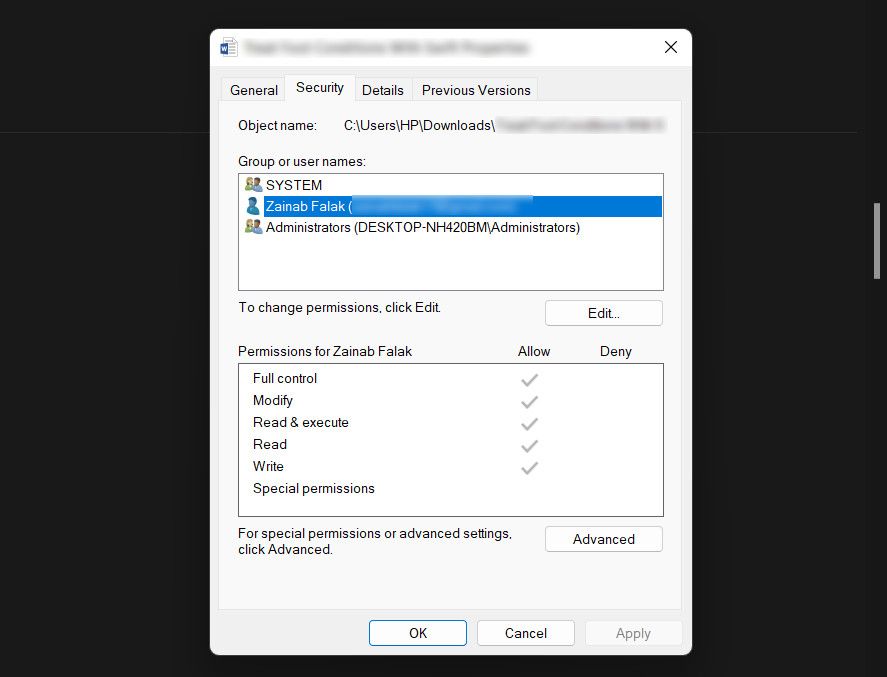 Окно редактирования разрешений папки в Windows