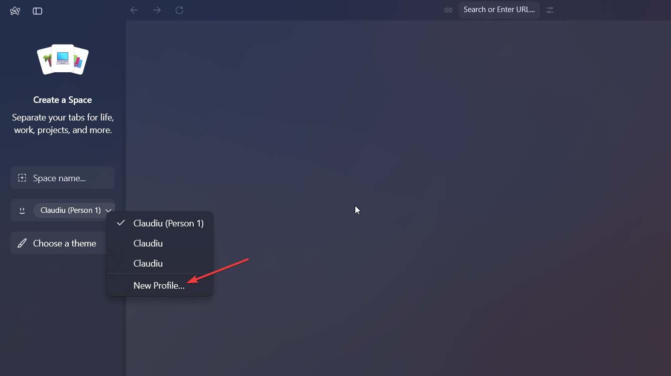 Скриншот: создание нового профиля в Space