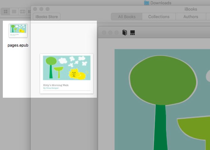 Превью обложки EPUB — эскиз книги в iBooks