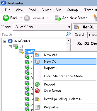 Создание нового хранилища New SR в Xen Center