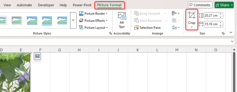 Ferramenta Cortar destacada na guia Formato da Imagem no Excel.