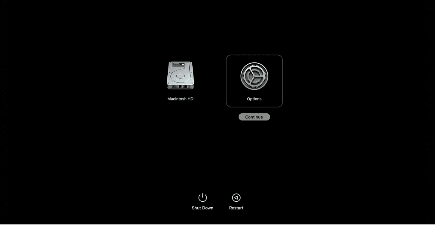 Экран параметров загрузки macOS на Mac с Apple Silicon