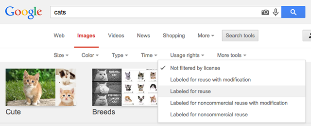 Скриншот панели «Инструменты поиска» и опции «Права использования» в Google Images
