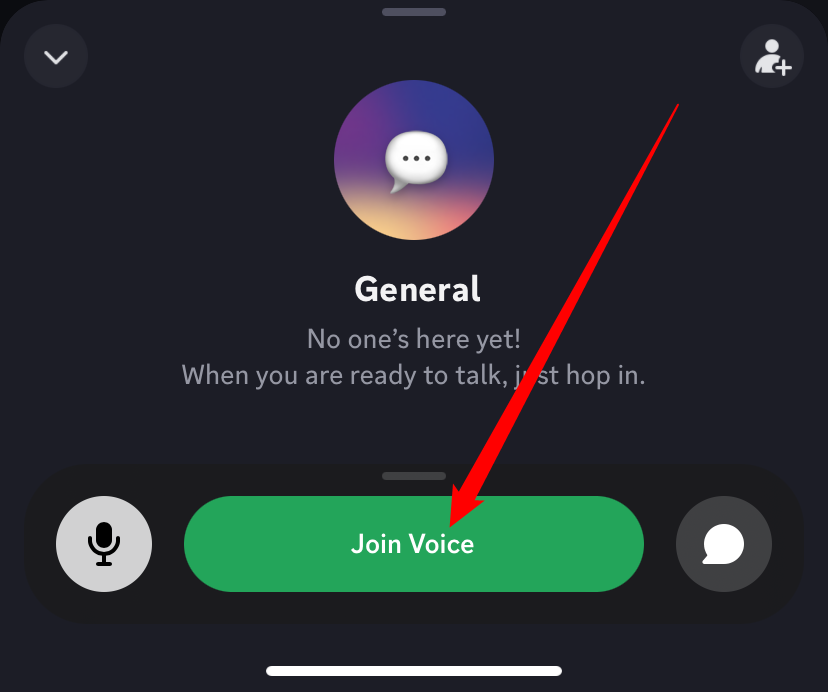 Нажмите зелёную кнопку «Join Voice».
