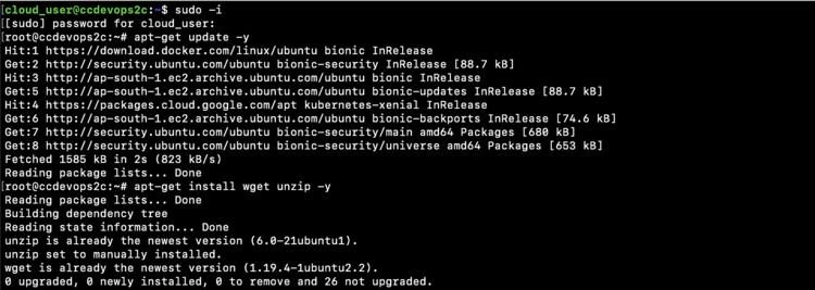 Обновление пакетов и установка wget/unzip