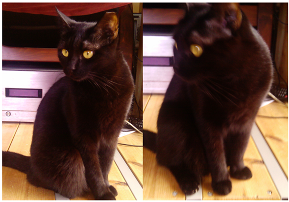 Экран смартфона с настройками баланса белого