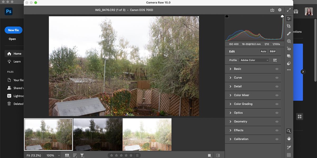 Correctly exposed image in Camera RAW.