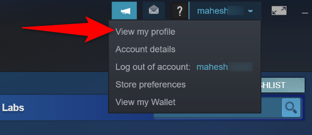 Выберите «View My Profile» в меню.