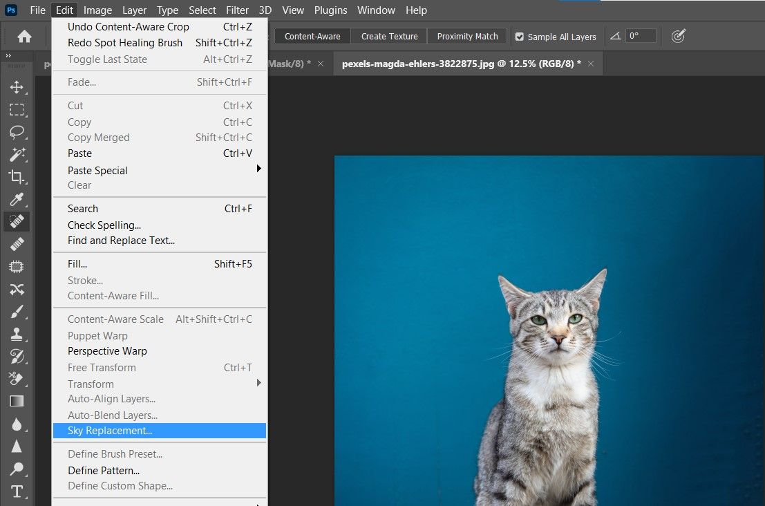 Меню замены неба в Photoshop