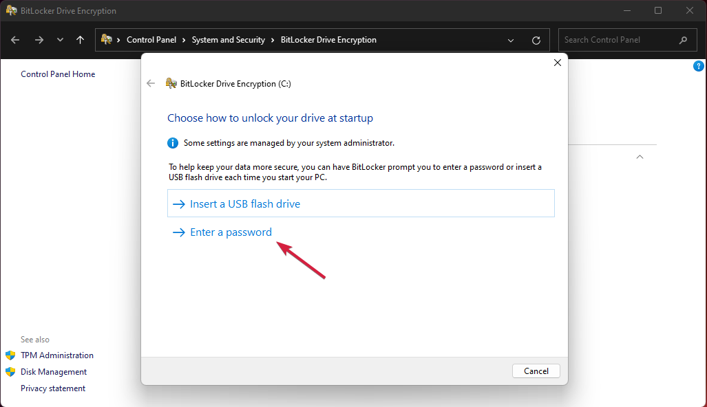 Выбор метода разблокировки BitLocker