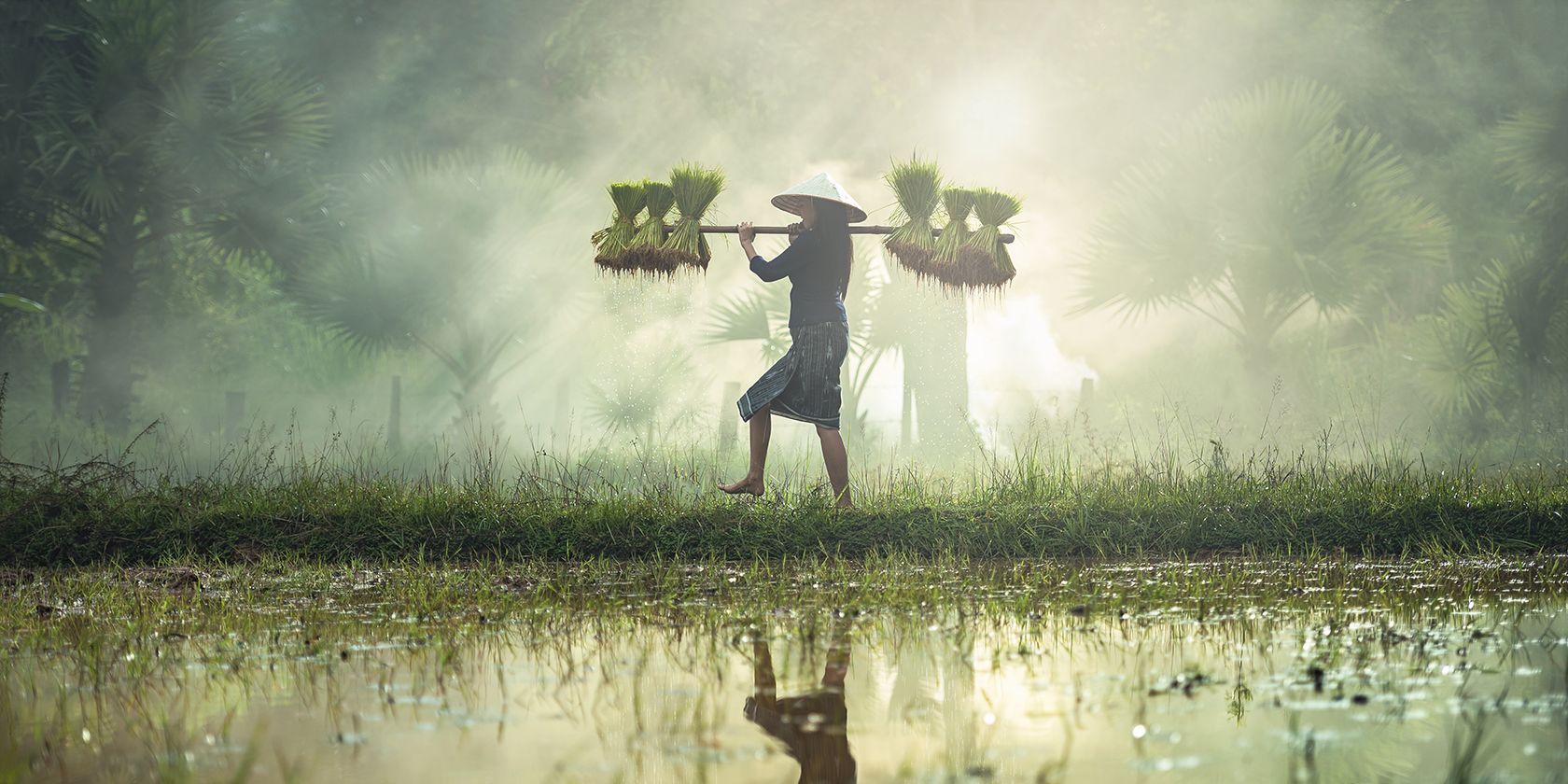 Как добавить туман в фотографии в Luminar AI