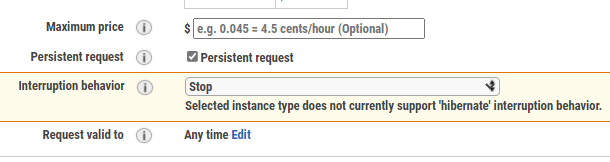 Опция persistent в настройках запроса Spot‑инстанса в консоли