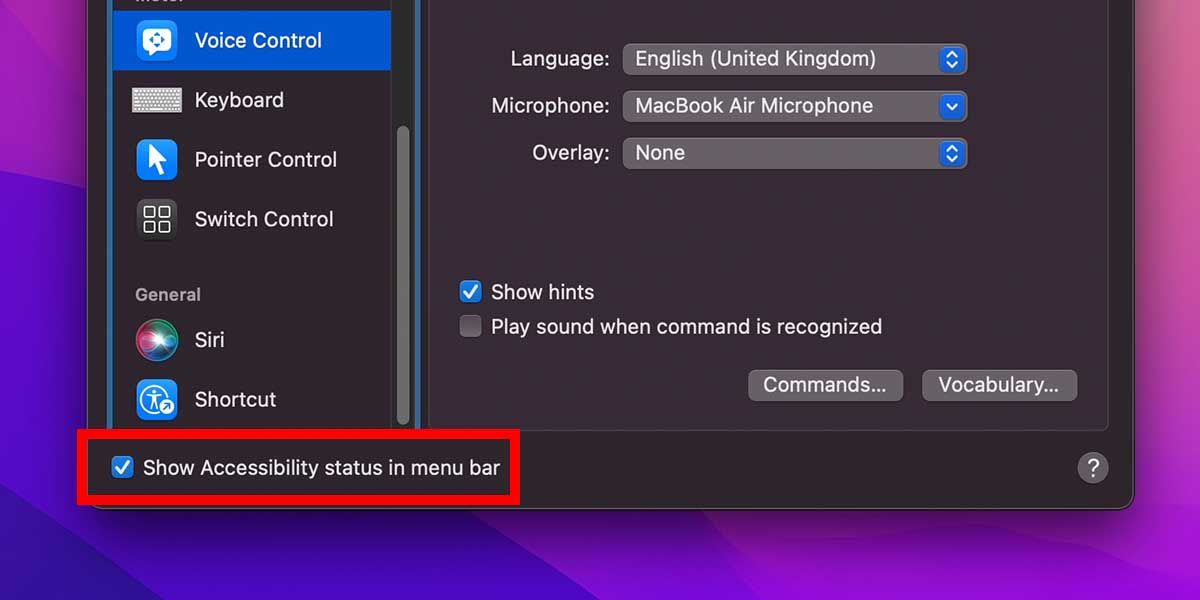 Accessibility Shortcut in Menu Bar