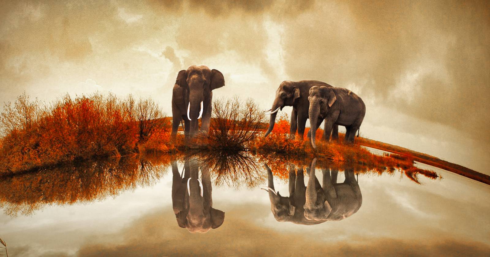 Фотография отражений: вода, стекло, металл