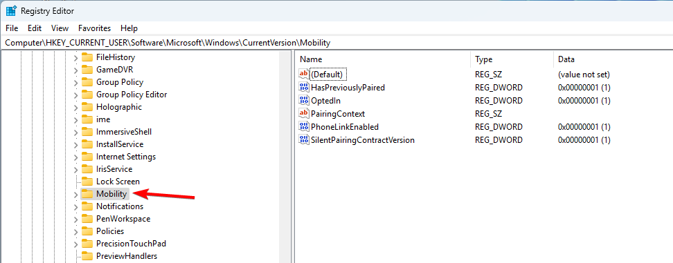 Ветка реестра Mobility в редакторе реестра