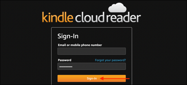 Вход в Kindle Cloud Reader — окно авторизации