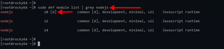 Проверка модуля репозитория Node.js в Rocky Linux
