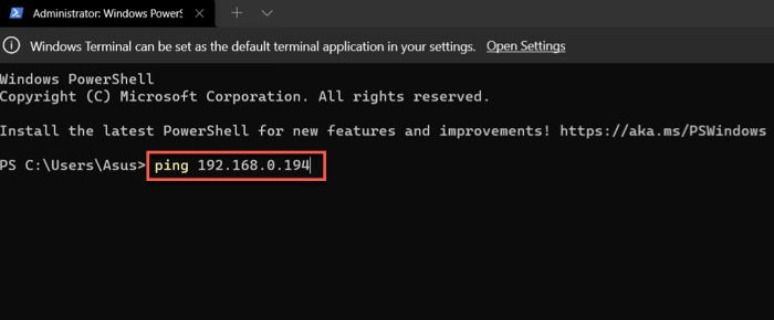 Команда ping в PowerShell/Terminal