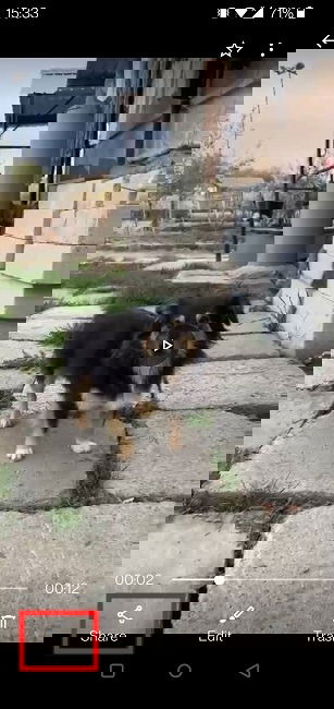 Кнопка «Поделиться» в галерее Android