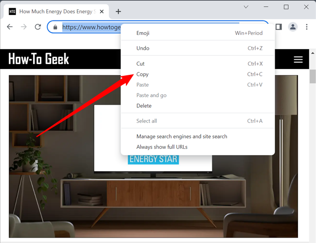 Выделите адрес в строке, правый клик и Копировать.