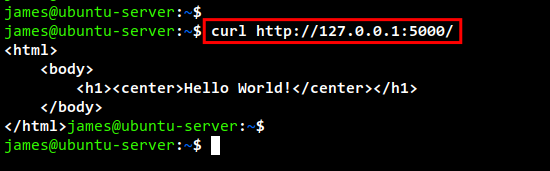 Проверка ответа curl от приложения Flask
