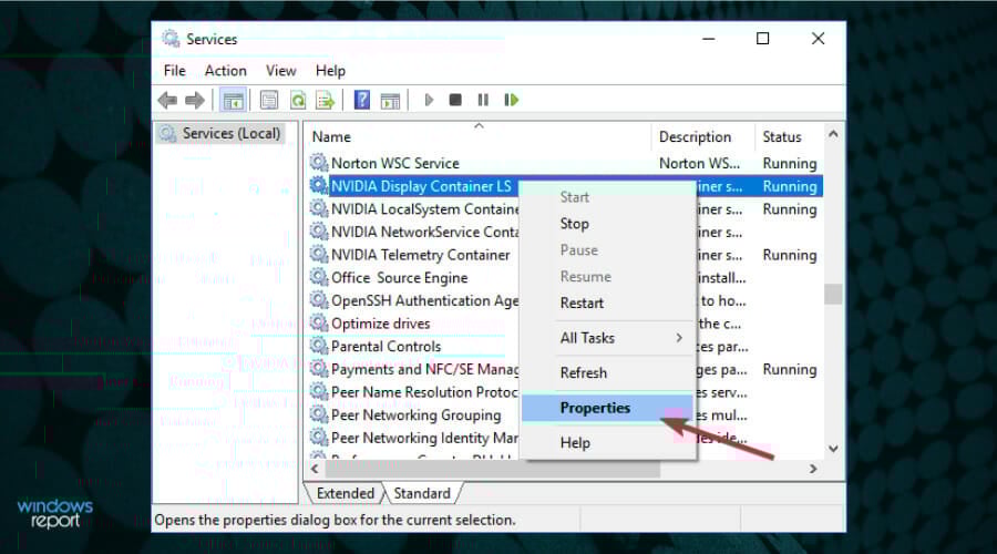 Служба NVIDIA Display Container LS в списке