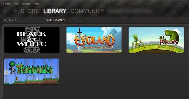 Состояние клиента: магазин и сообщество заблокированы