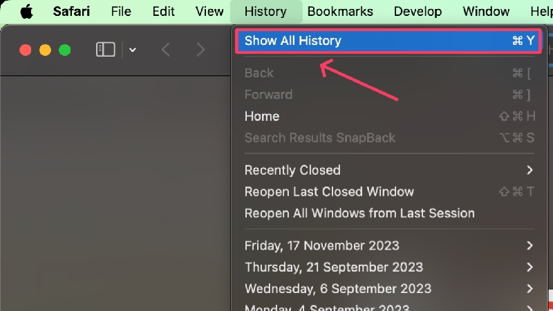 show all history in safari