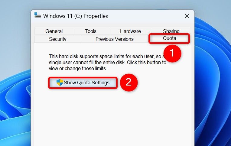 Опции «Квота» и «Показать параметры квоты» выделены.