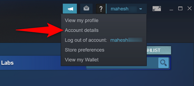 Меню Steam: пункт «Account Details» выделен