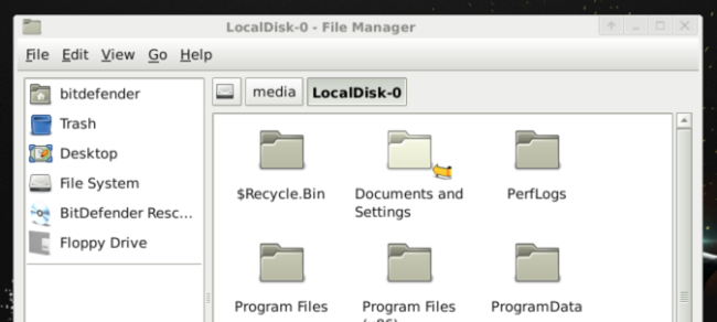 Файловый менеджер показывает раздел Windows